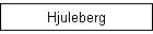 Hjuleberg